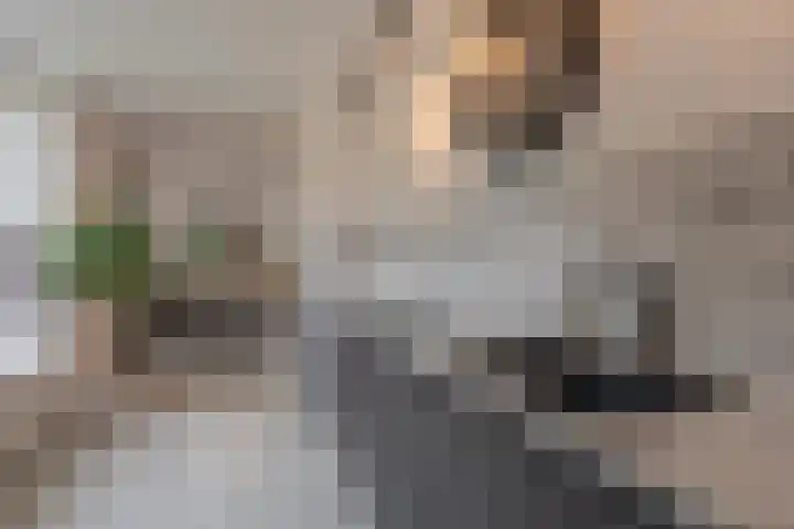 van Stralenstraat 8 Culemborg thumbnail 31