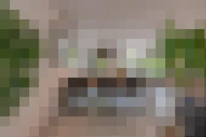van Stralenstraat 8 Culemborg thumbnail 32