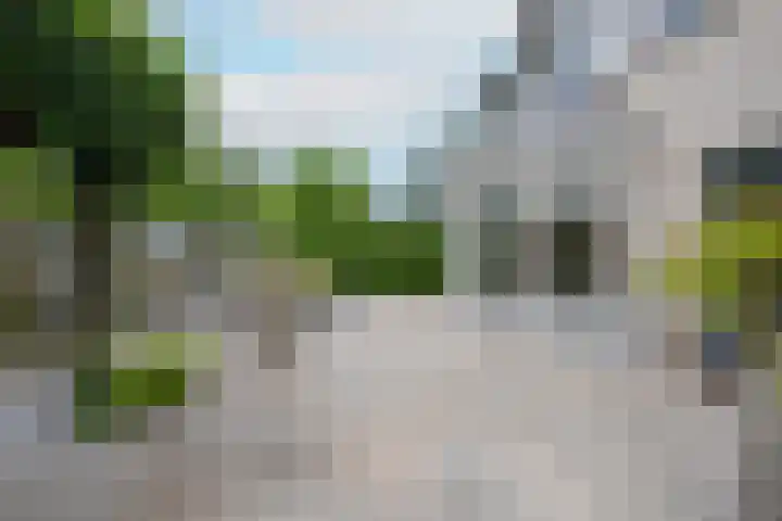 van Stralenstraat 8 Culemborg thumbnail 34