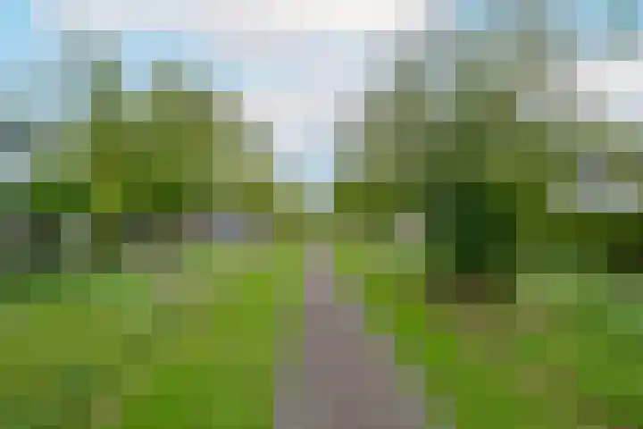 van Stralenstraat 8 Culemborg thumbnail 8