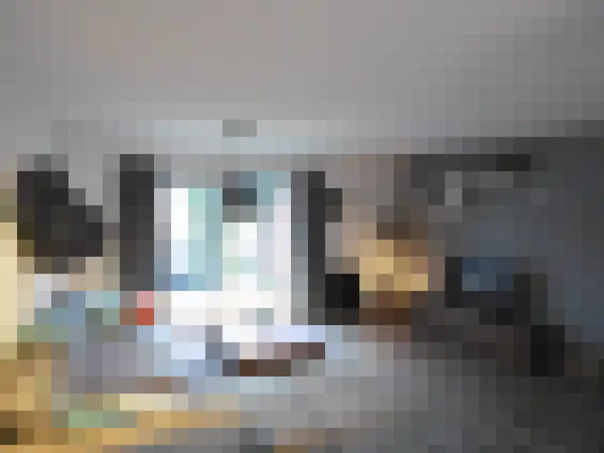 van Strijenstraat 1 Gouda thumbnail 4