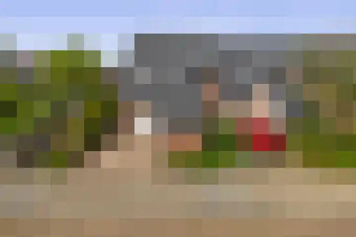 van Strijenstraat 19 Zevenbergen thumbnail 4