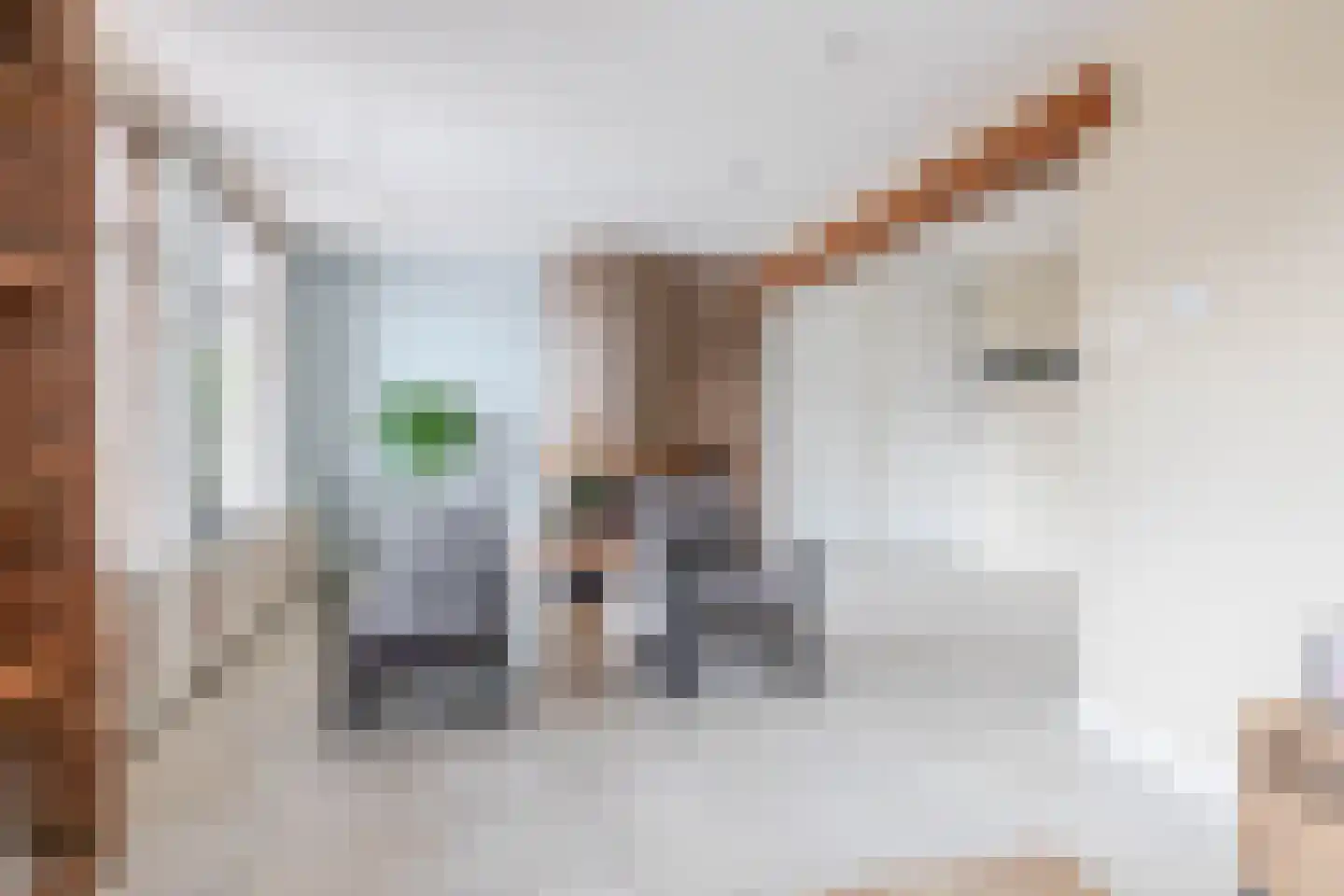 van Strijenstraat 4 Zevenbergen thumbnail 11