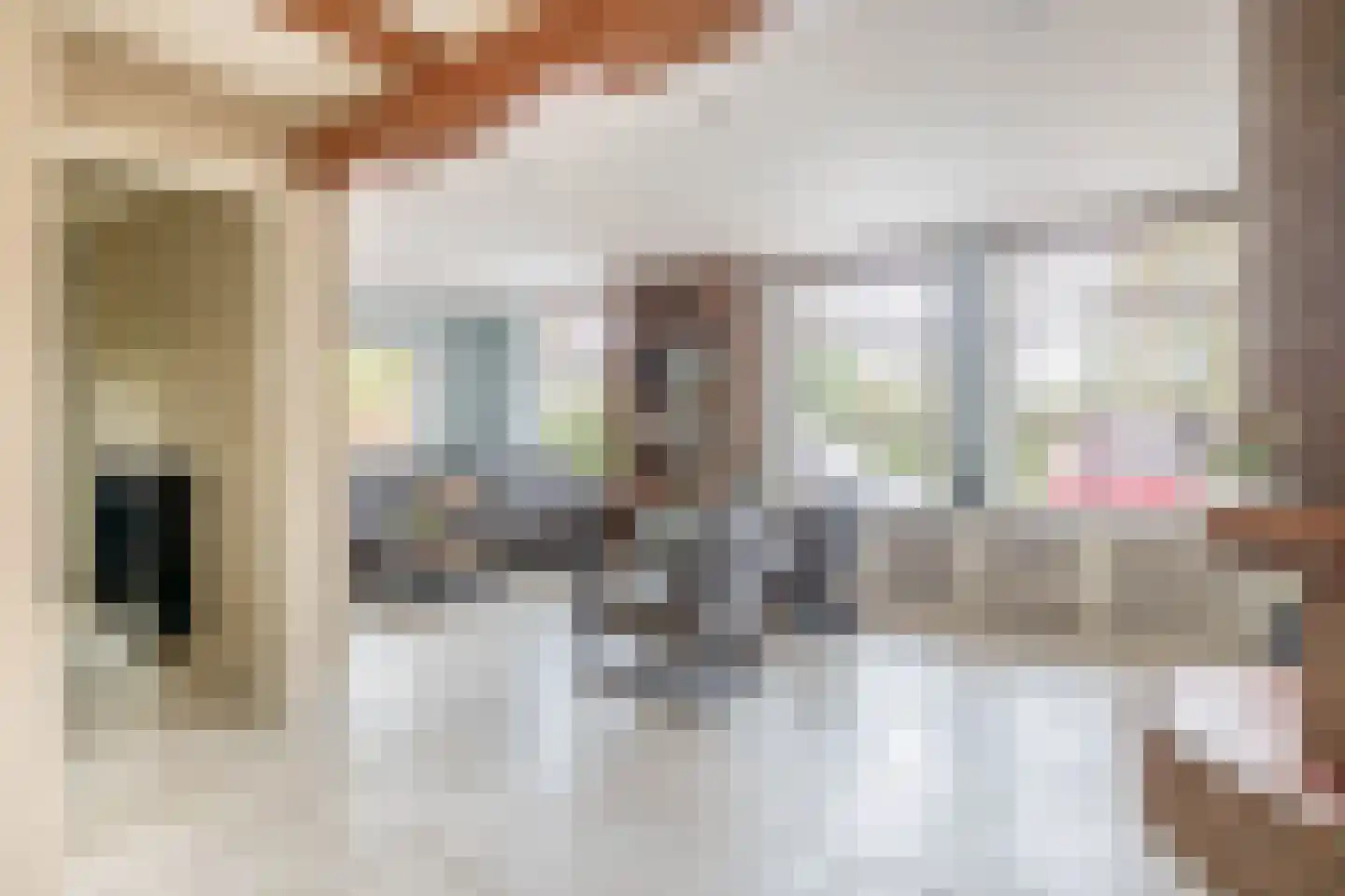 van Strijenstraat 4 Zevenbergen thumbnail 13