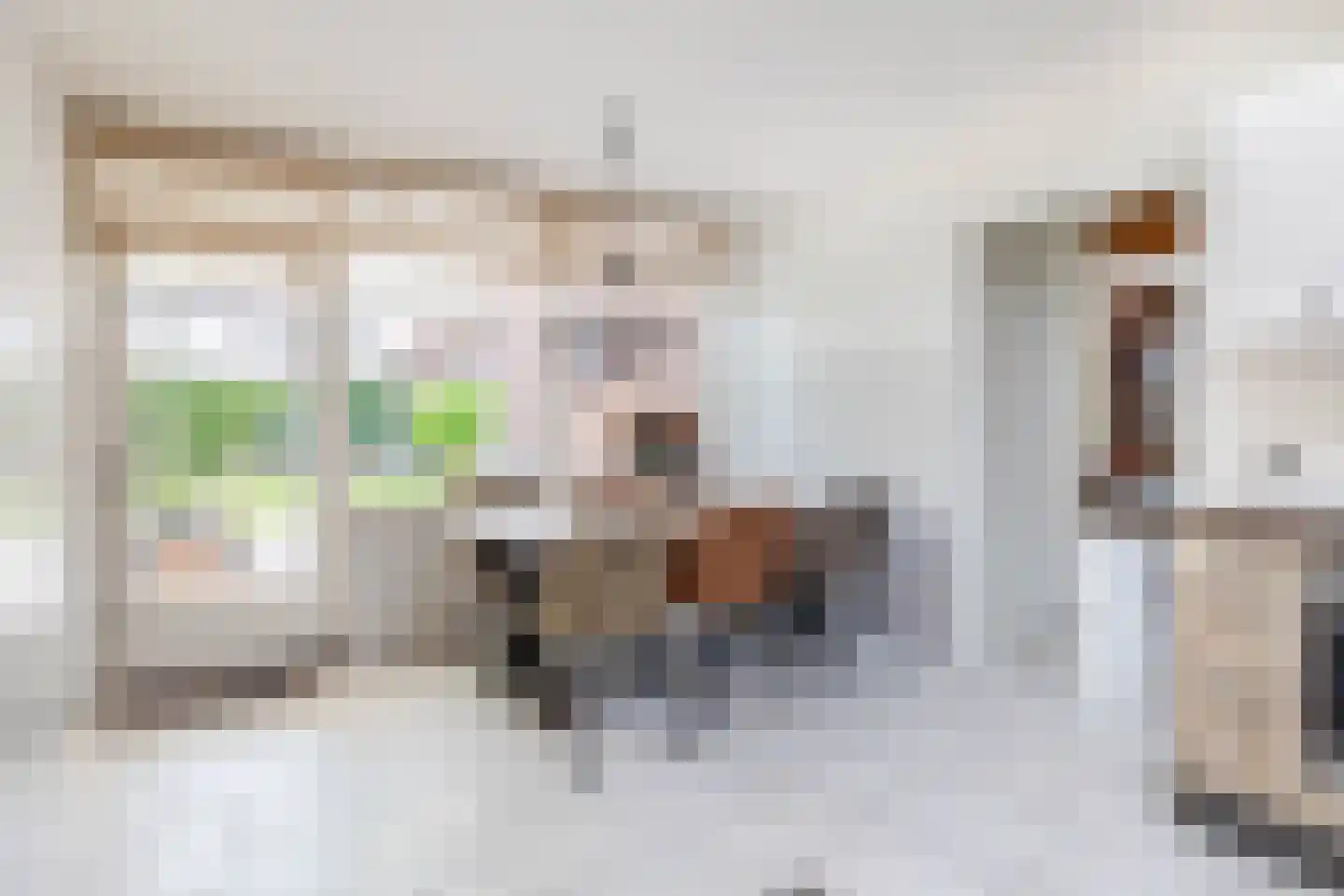 van Strijenstraat 4 Zevenbergen thumbnail 15