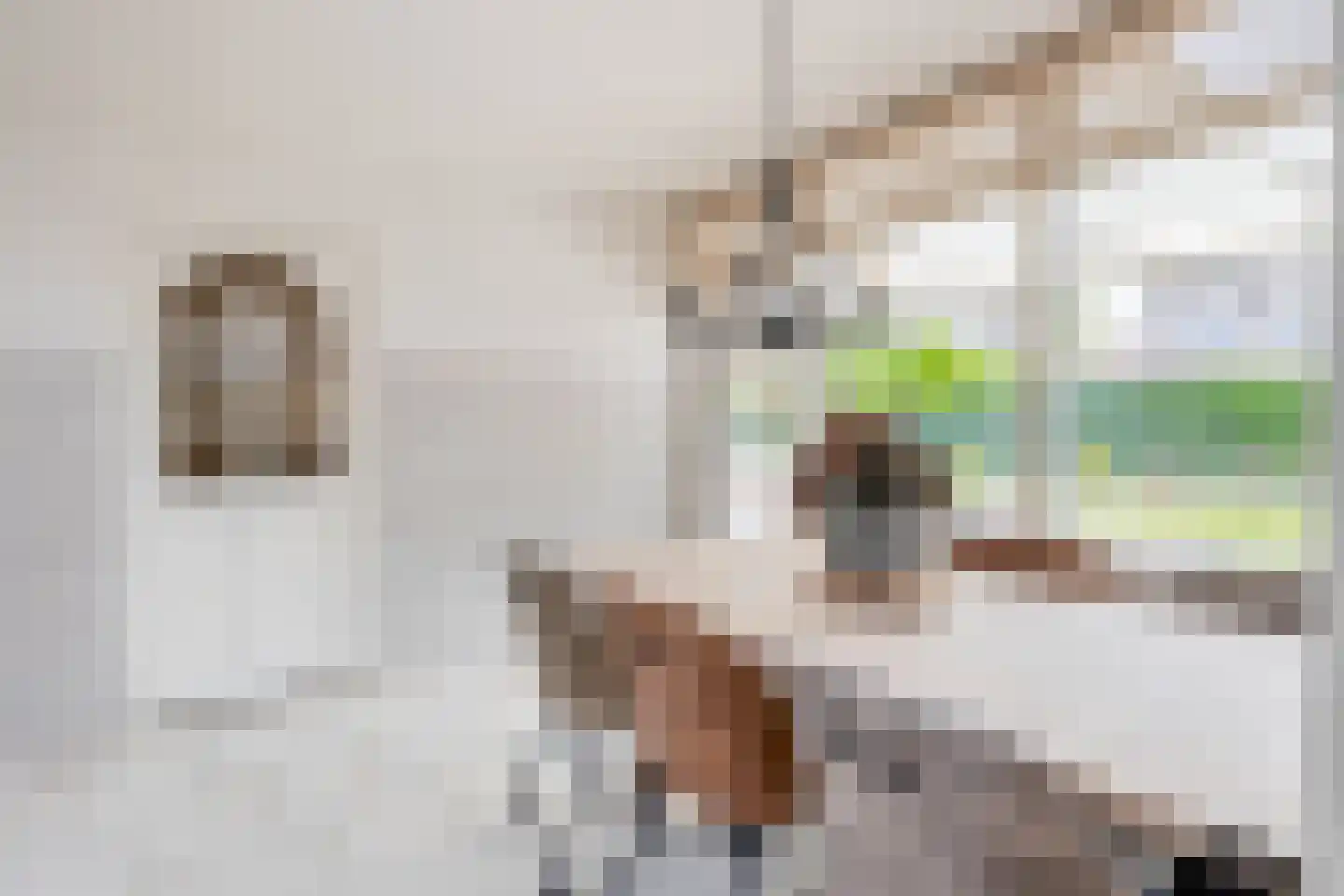van Strijenstraat 4 Zevenbergen thumbnail 16