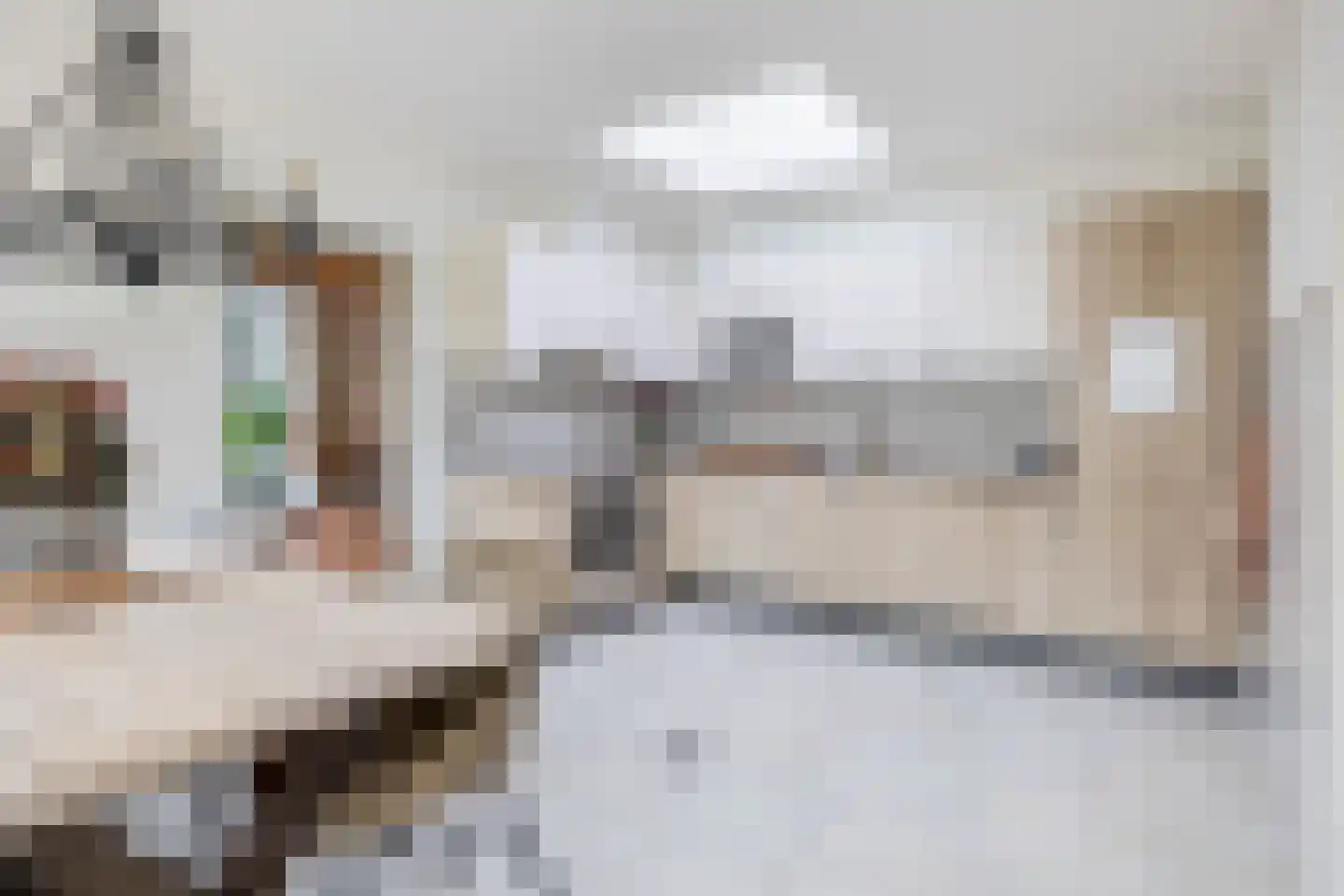 van Strijenstraat 4 Zevenbergen thumbnail 17