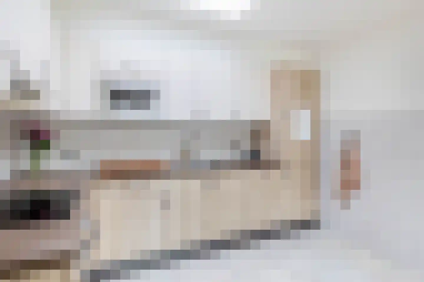 van Strijenstraat 4 Zevenbergen thumbnail 18