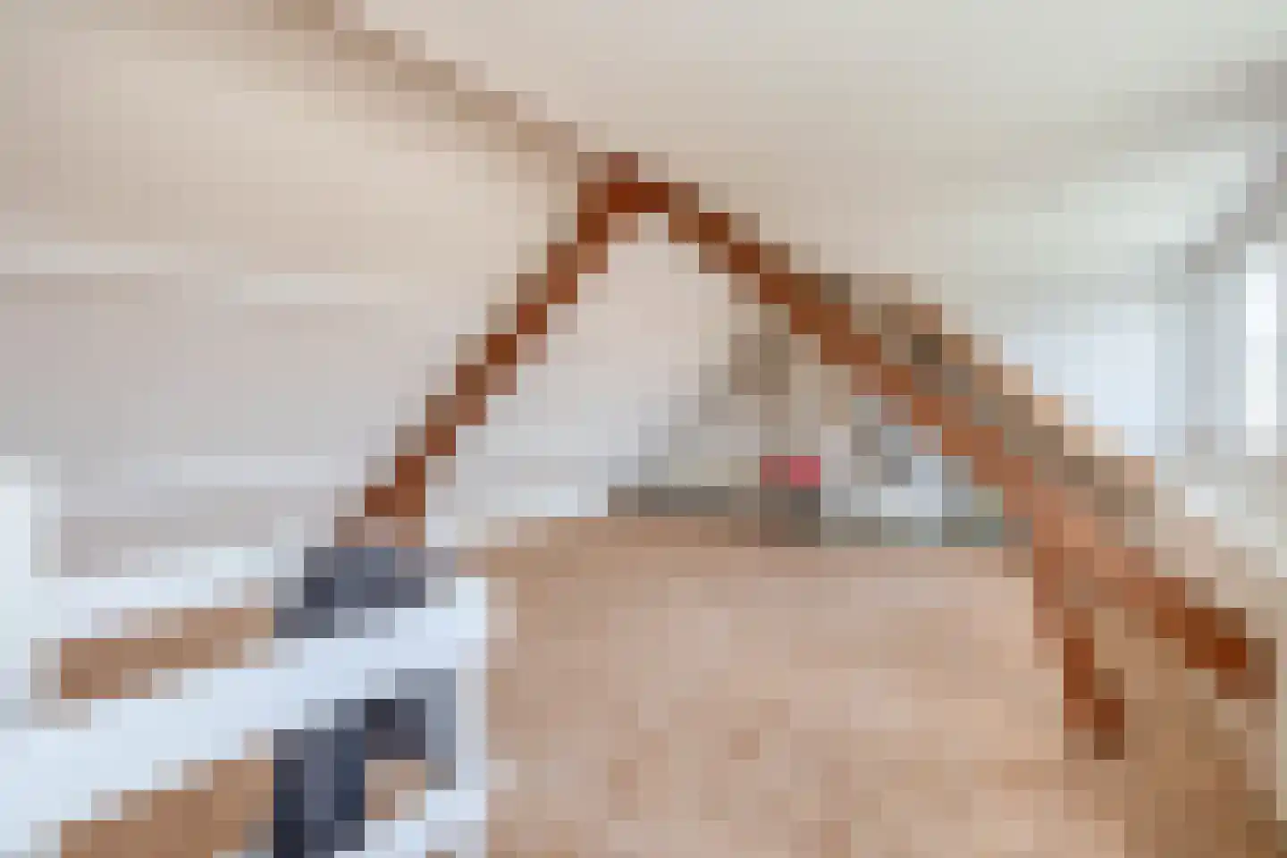 van Strijenstraat 4 Zevenbergen thumbnail 30