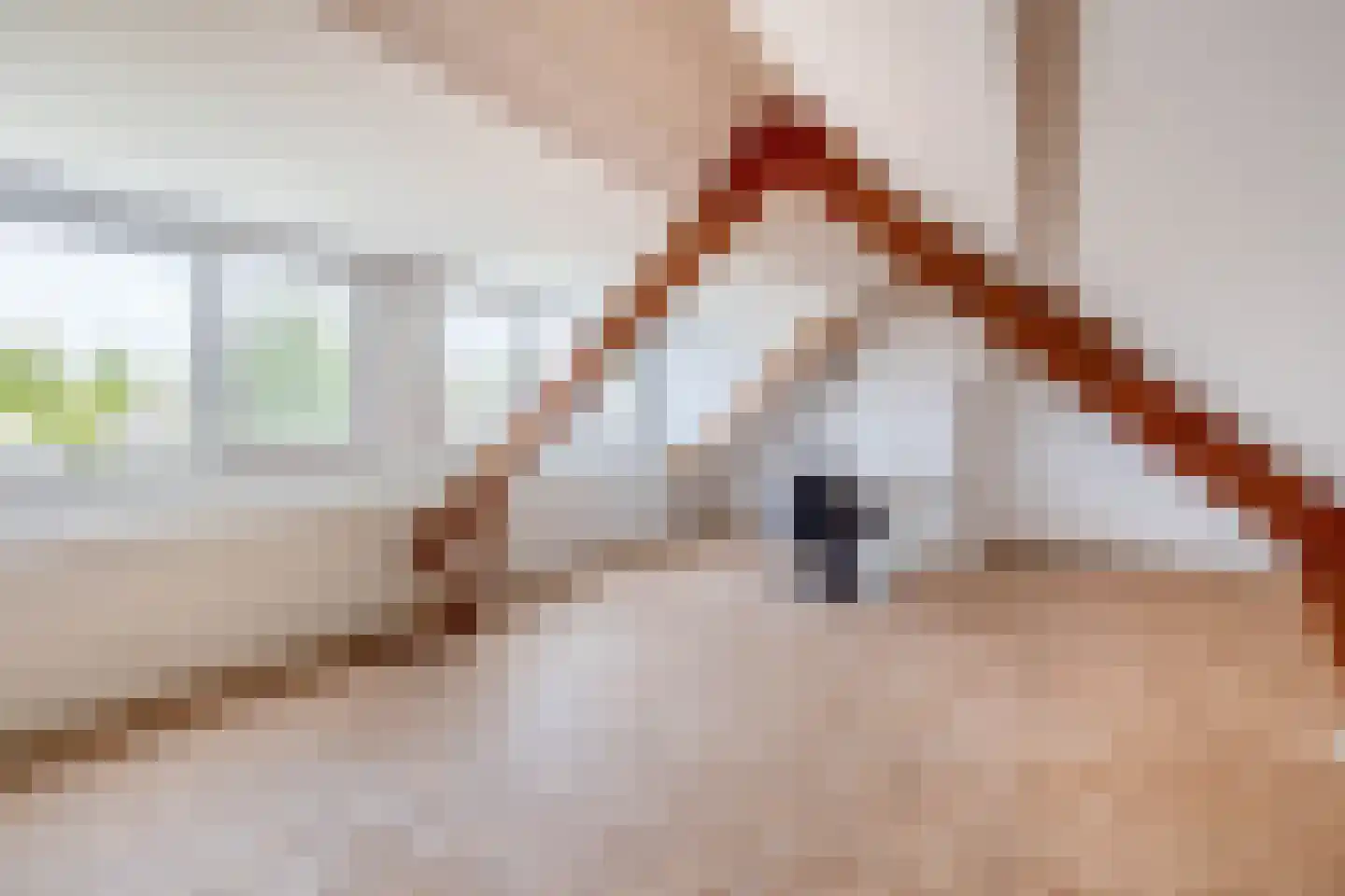 van Strijenstraat 4 Zevenbergen thumbnail 31