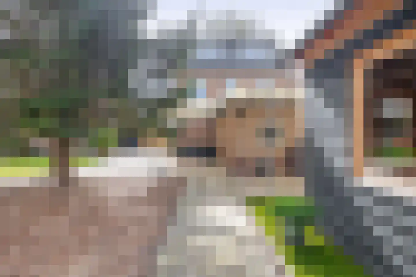 van Strijenstraat 4 Zevenbergen thumbnail 36