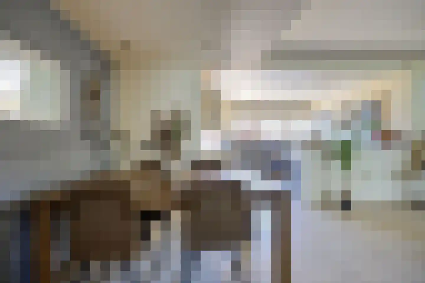van Strijenstraat 42 Zevenbergen thumbnail 10