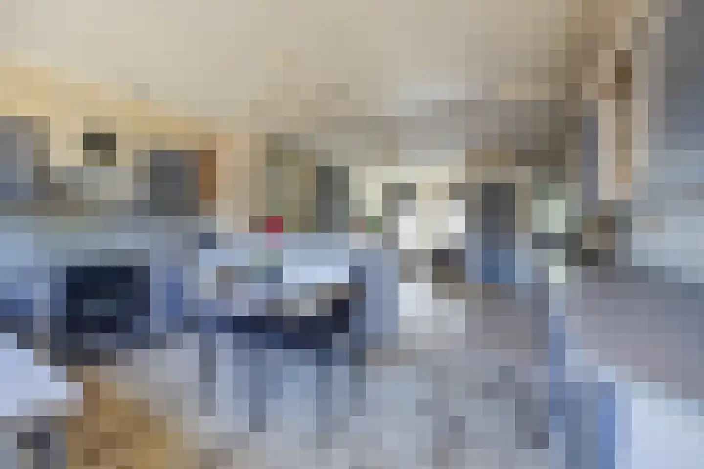 van Strijenstraat 42 Zevenbergen thumbnail 14