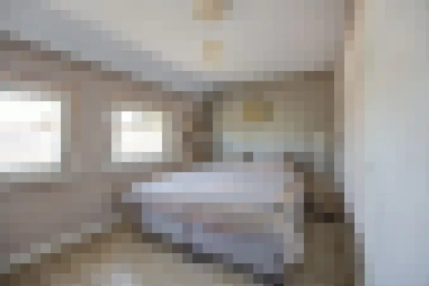 van Strijenstraat 42 Zevenbergen thumbnail 20