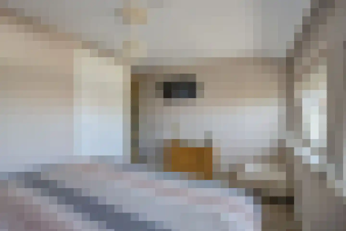 van Strijenstraat 42 Zevenbergen thumbnail 21