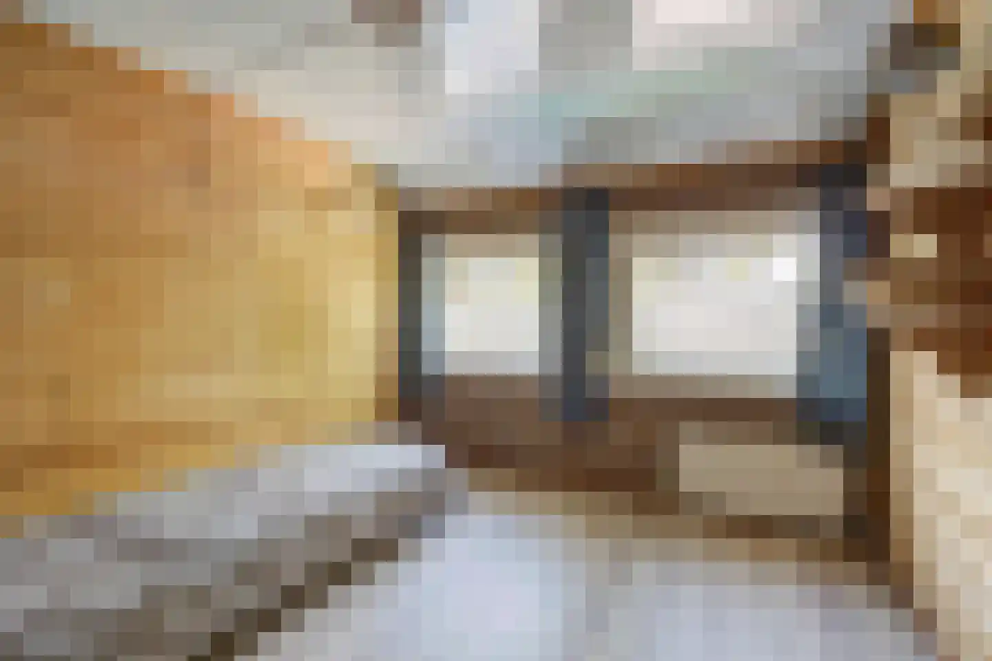 van Strijenstraat 42 Zevenbergen thumbnail 22