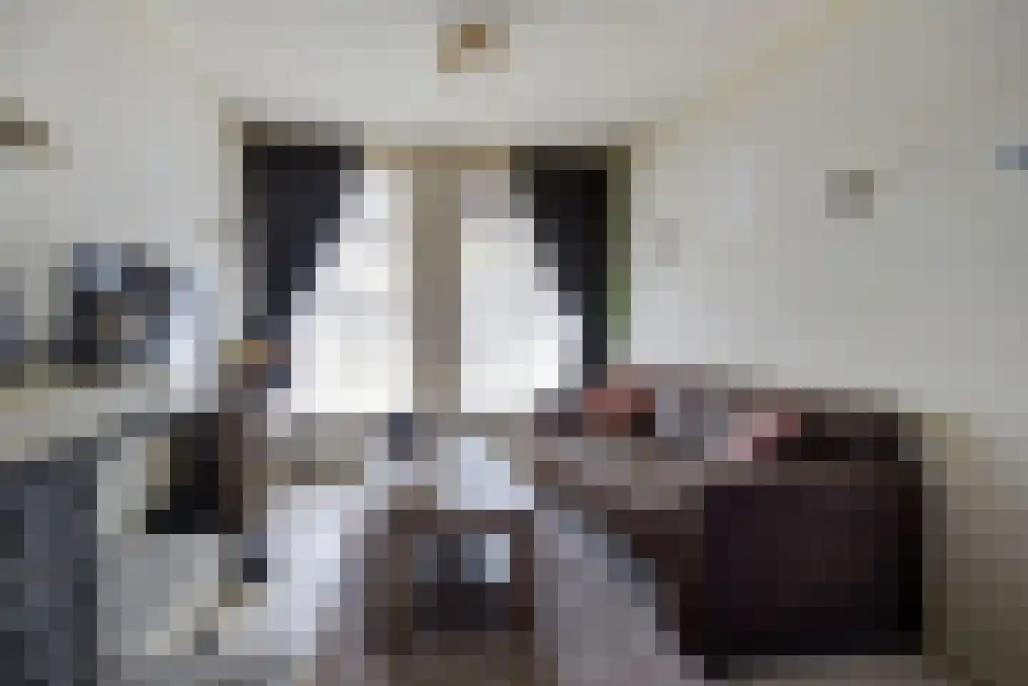 van Strijenstraat 42 Zevenbergen thumbnail 4
