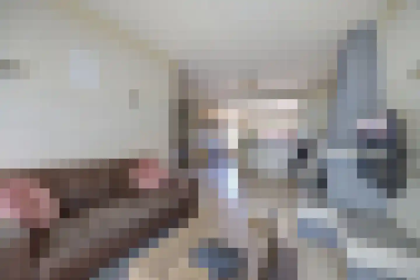 van Strijenstraat 42 Zevenbergen thumbnail 5