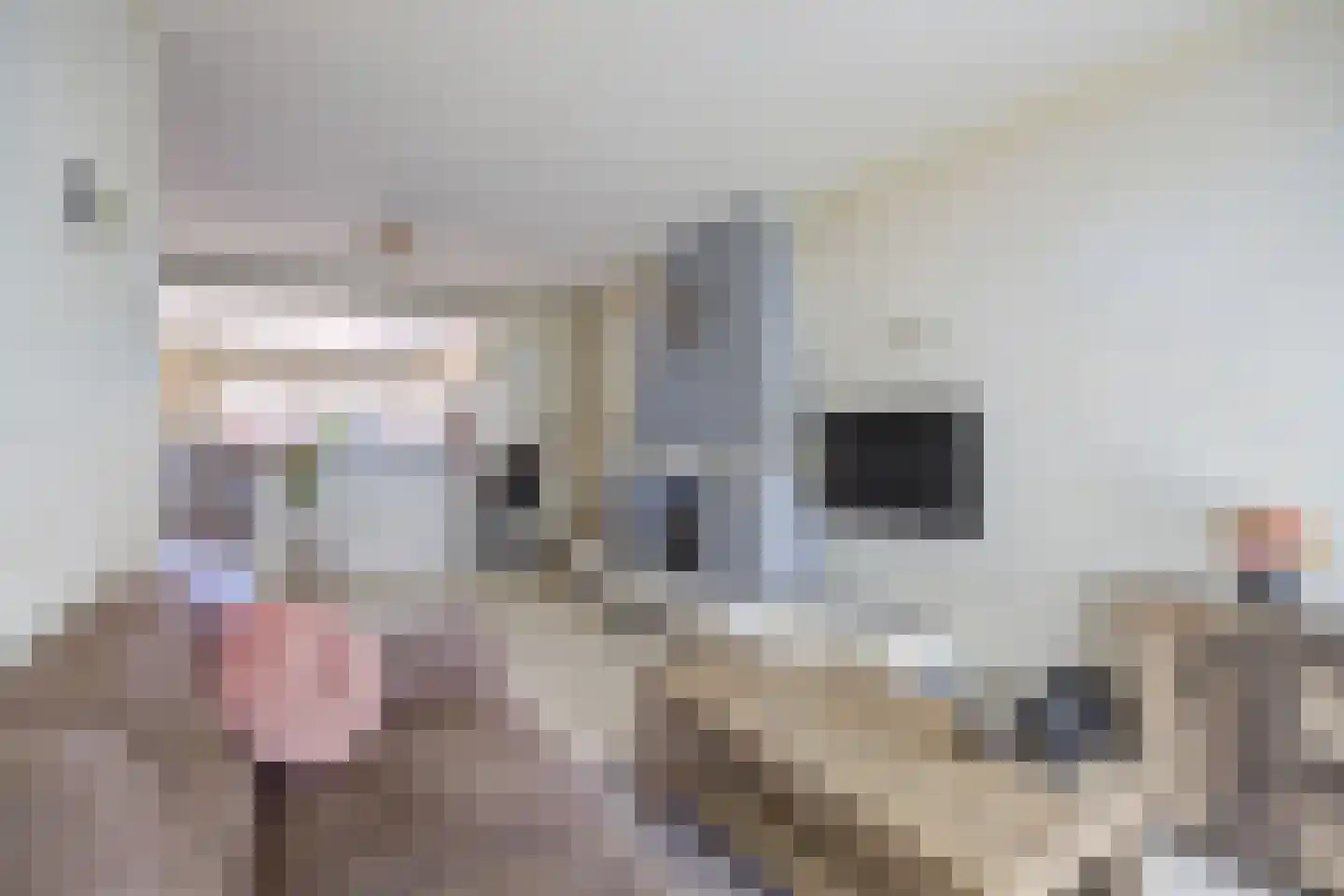 van Strijenstraat 42 Zevenbergen thumbnail 6