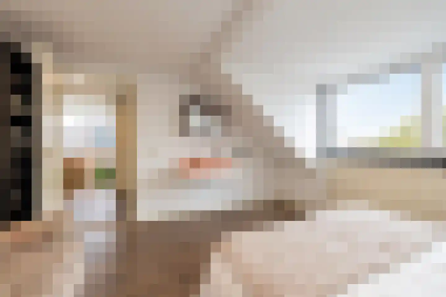 van Struykstraat 23 Noordwijk thumbnail 35