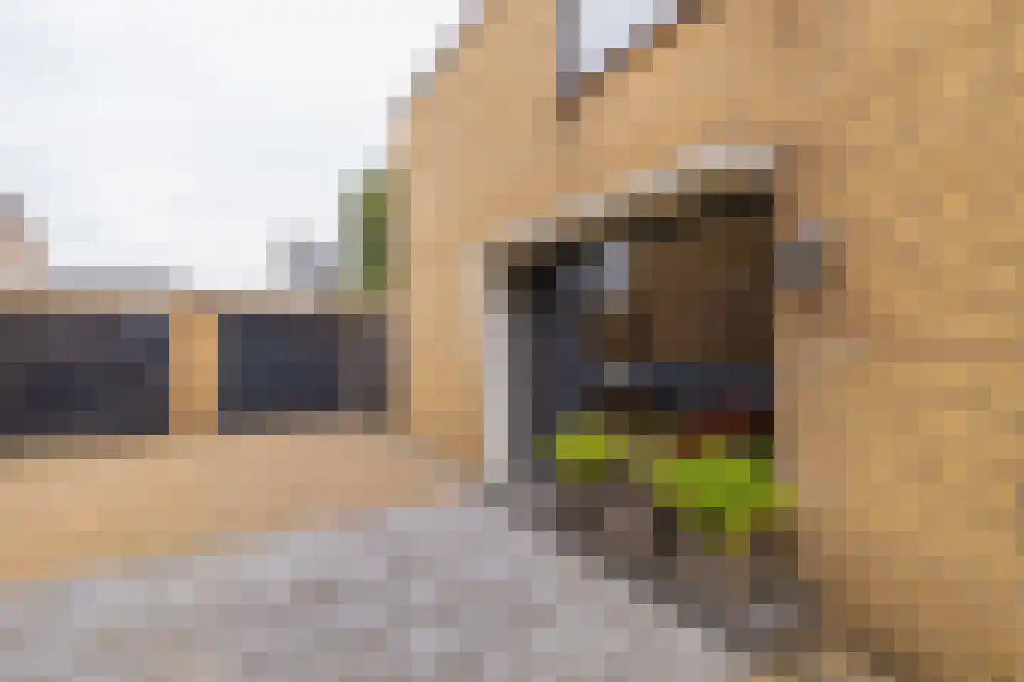 van Struykstraat 23 Noordwijk thumbnail 7