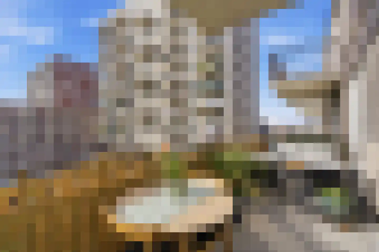 Van Suchtelen van de Haarestraat 107 Amsterdam thumbnail 13