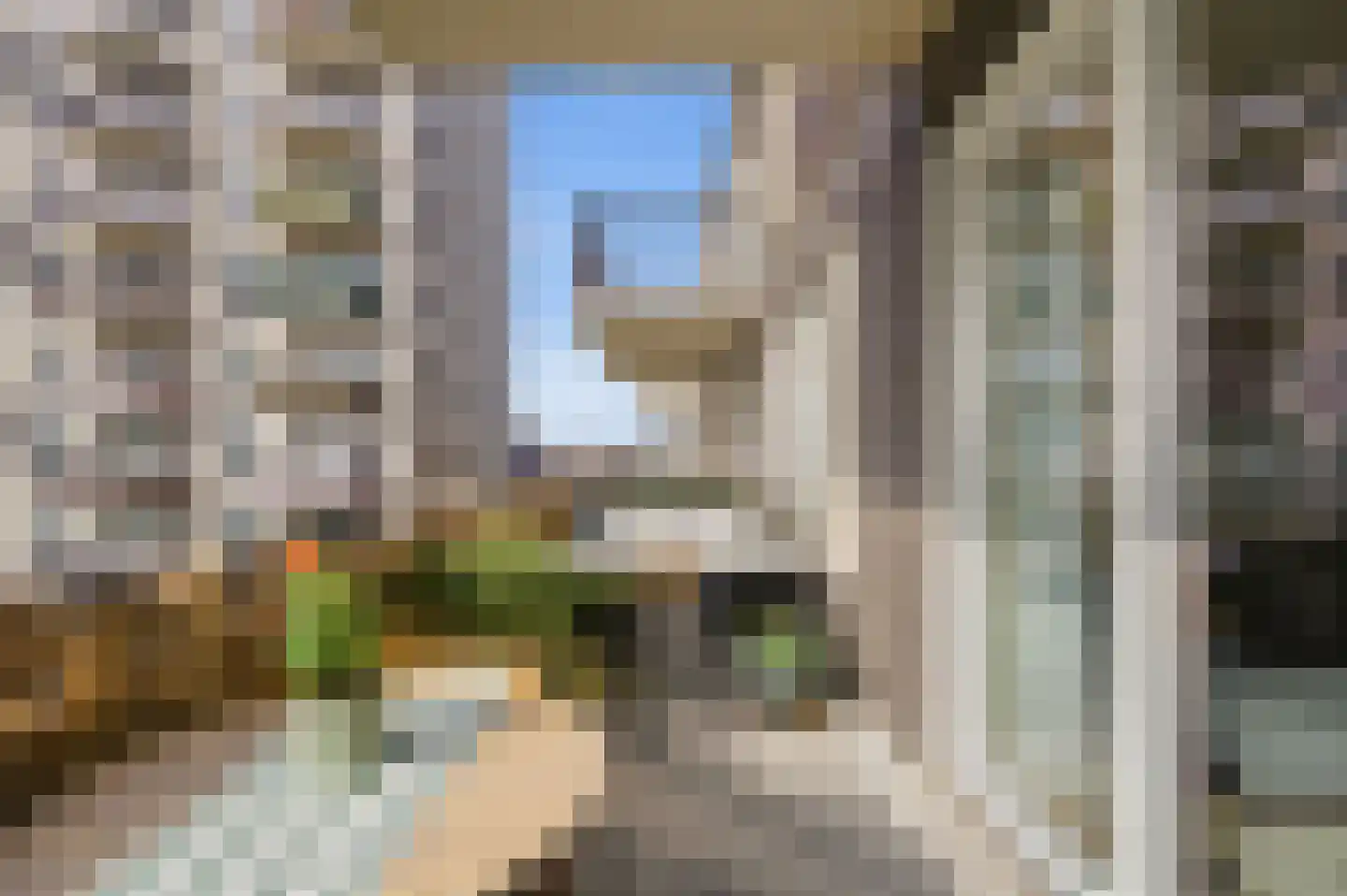 Van Suchtelen van de Haarestraat 107 Amsterdam thumbnail 15