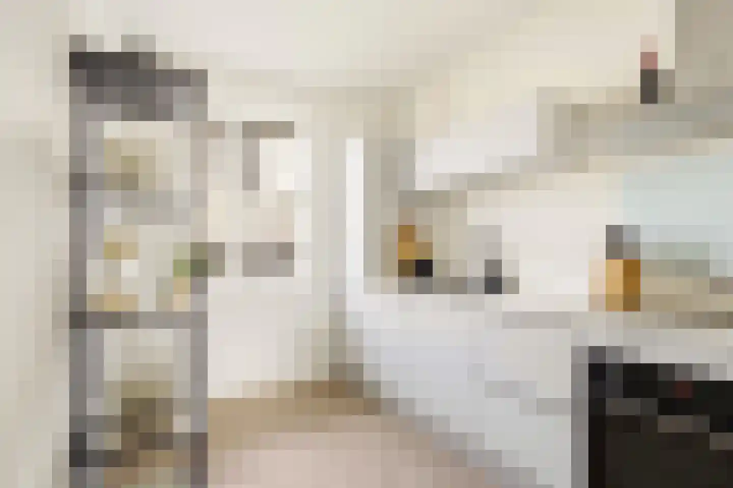 Van Suchtelen van de Haarestraat 107 Amsterdam thumbnail 23