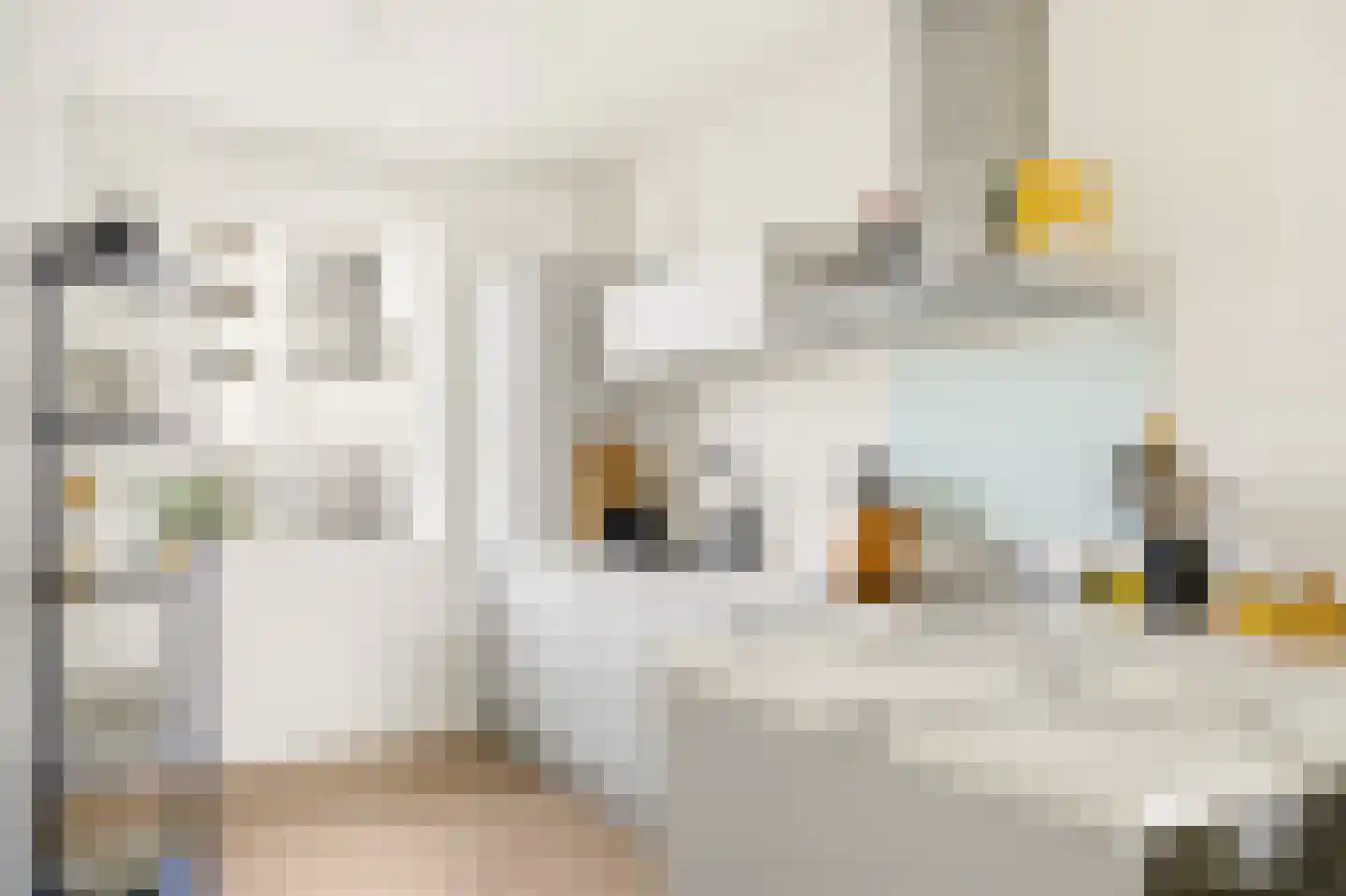 Van Suchtelen van de Haarestraat 107 Amsterdam thumbnail 4