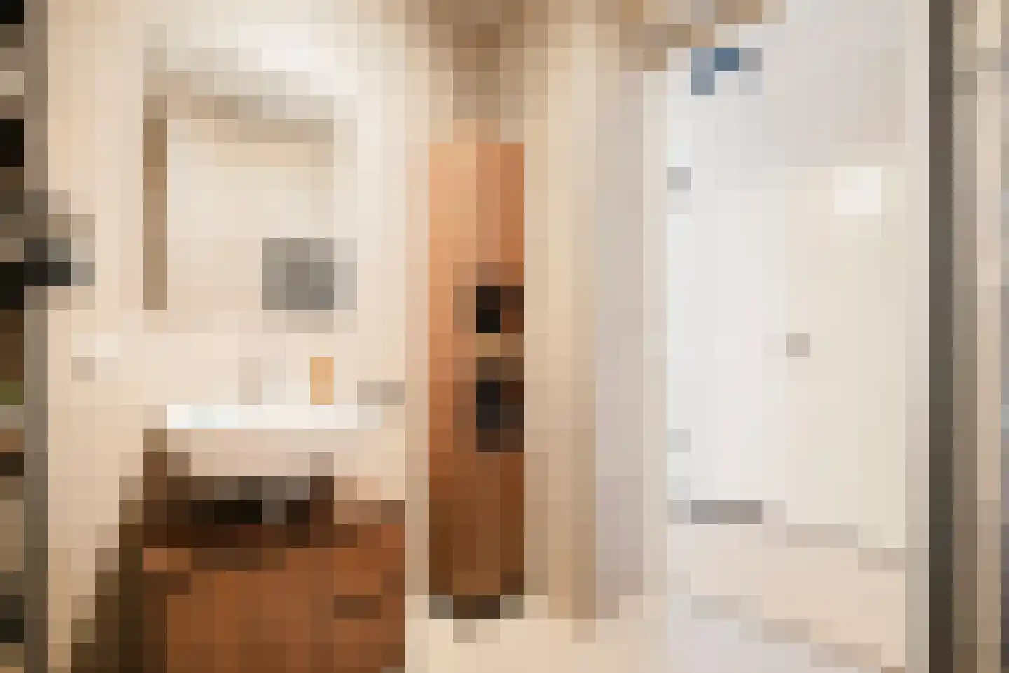 Van Suchtelen van de Haarestraat 111 Amsterdam thumbnail 27