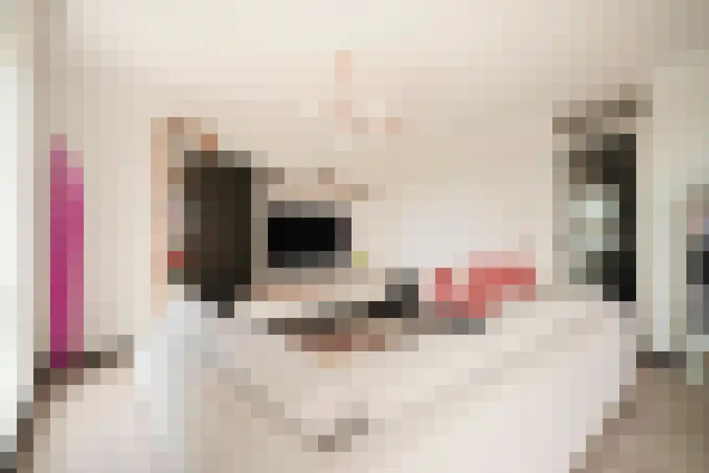 Van Suchtelen van de Haarestraat 111 Amsterdam thumbnail 4