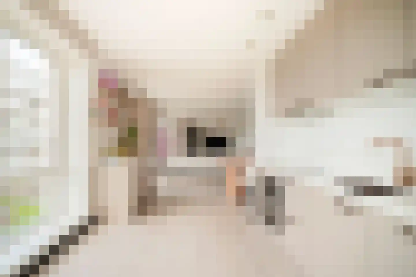 Van Suchtelen van de Haarestraat 111 Amsterdam thumbnail 8