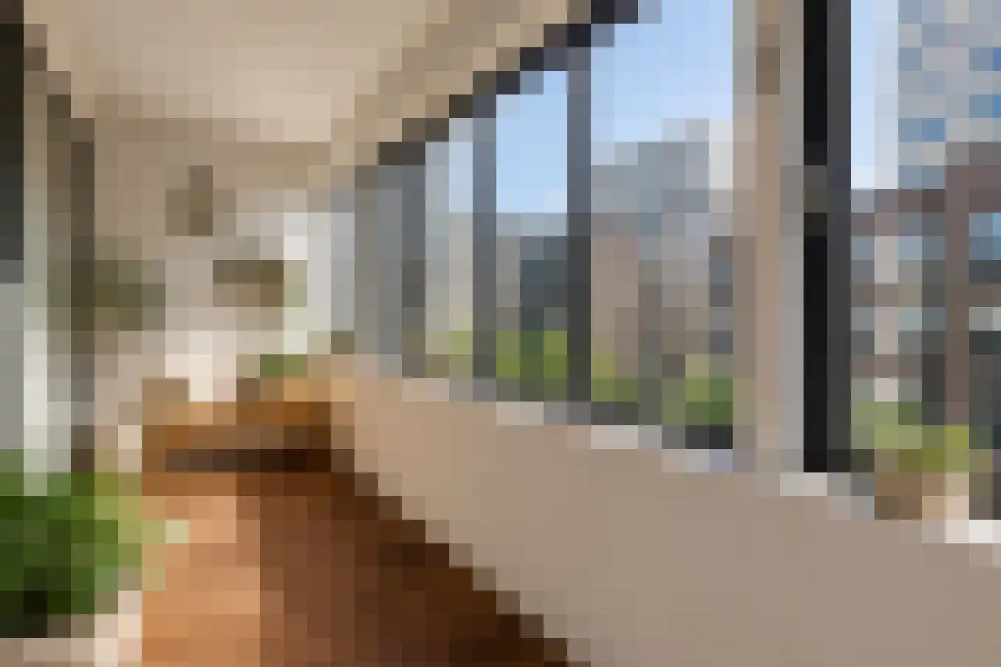 Van Suchtelen van de Haarestraat 22 C Amsterdam thumbnail 17
