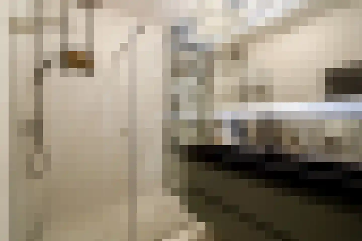 Van Suchtelen van de Haarestraat 83 Amsterdam thumbnail 14