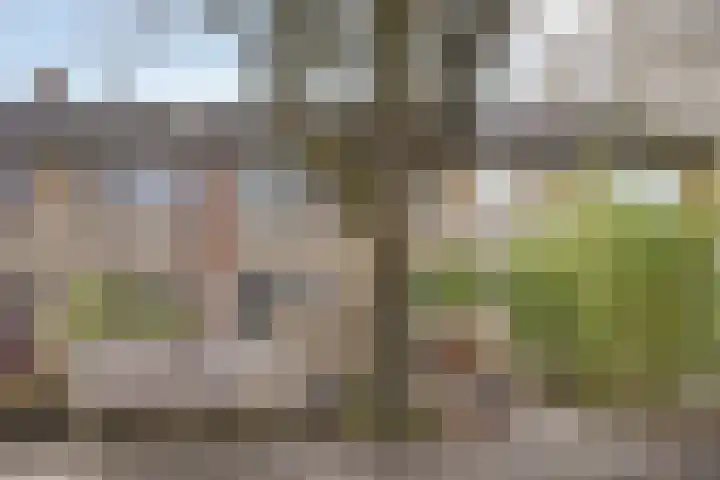 van Suchtelensingel 45 Diepenveen thumbnail 4