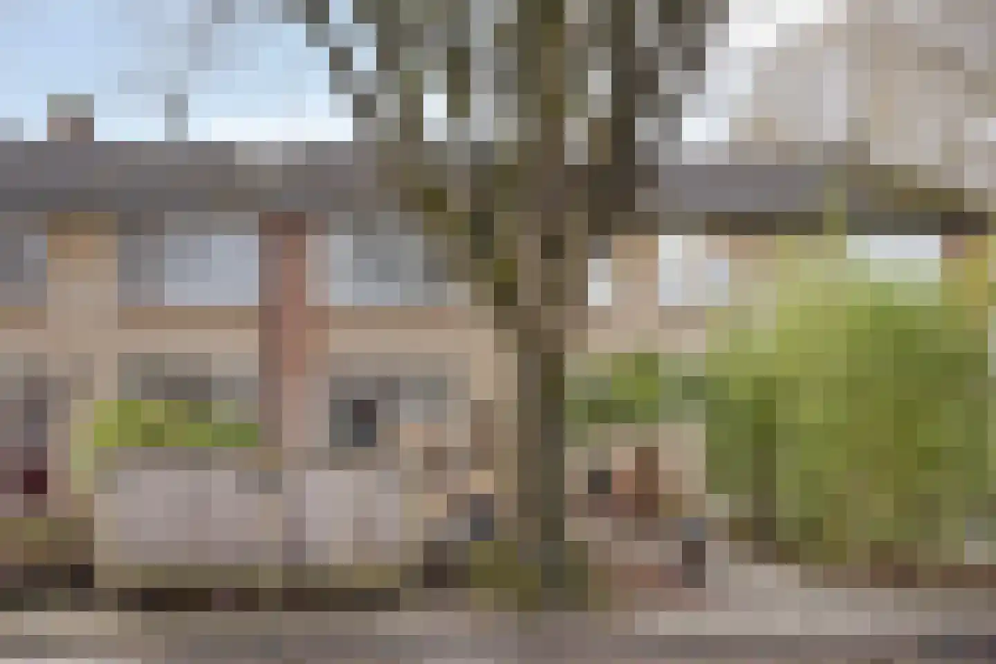 van Suchtelensingel 45 Diepenveen thumbnail 4