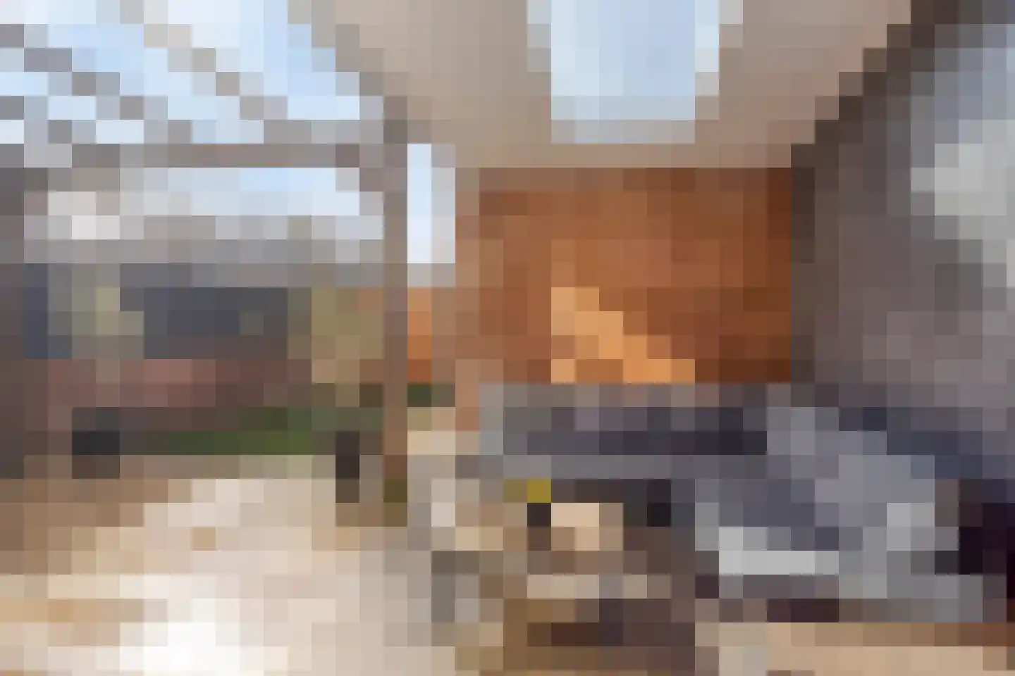 van Suchtelensingel 45 Diepenveen thumbnail 43