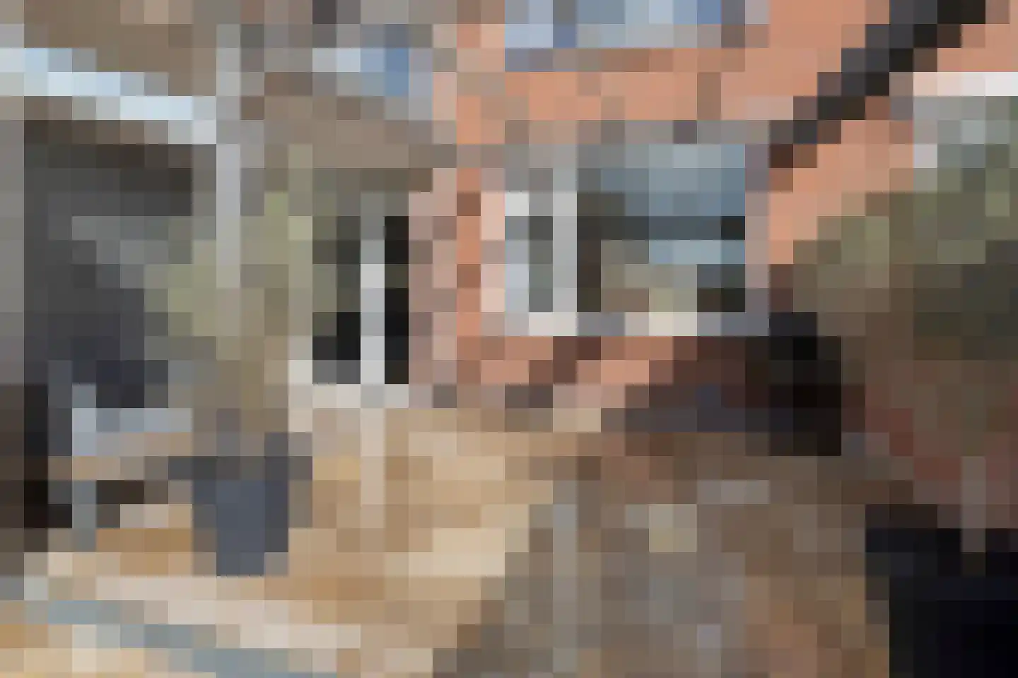 van Suchtelensingel 45 Diepenveen thumbnail 47