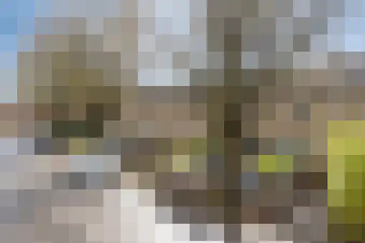 van Suchtelensingel 45 Diepenveen thumbnail 49