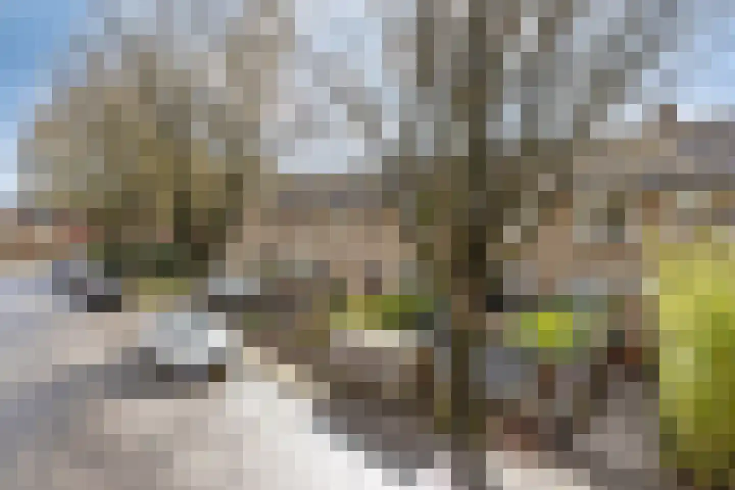 van Suchtelensingel 45 Diepenveen thumbnail 49