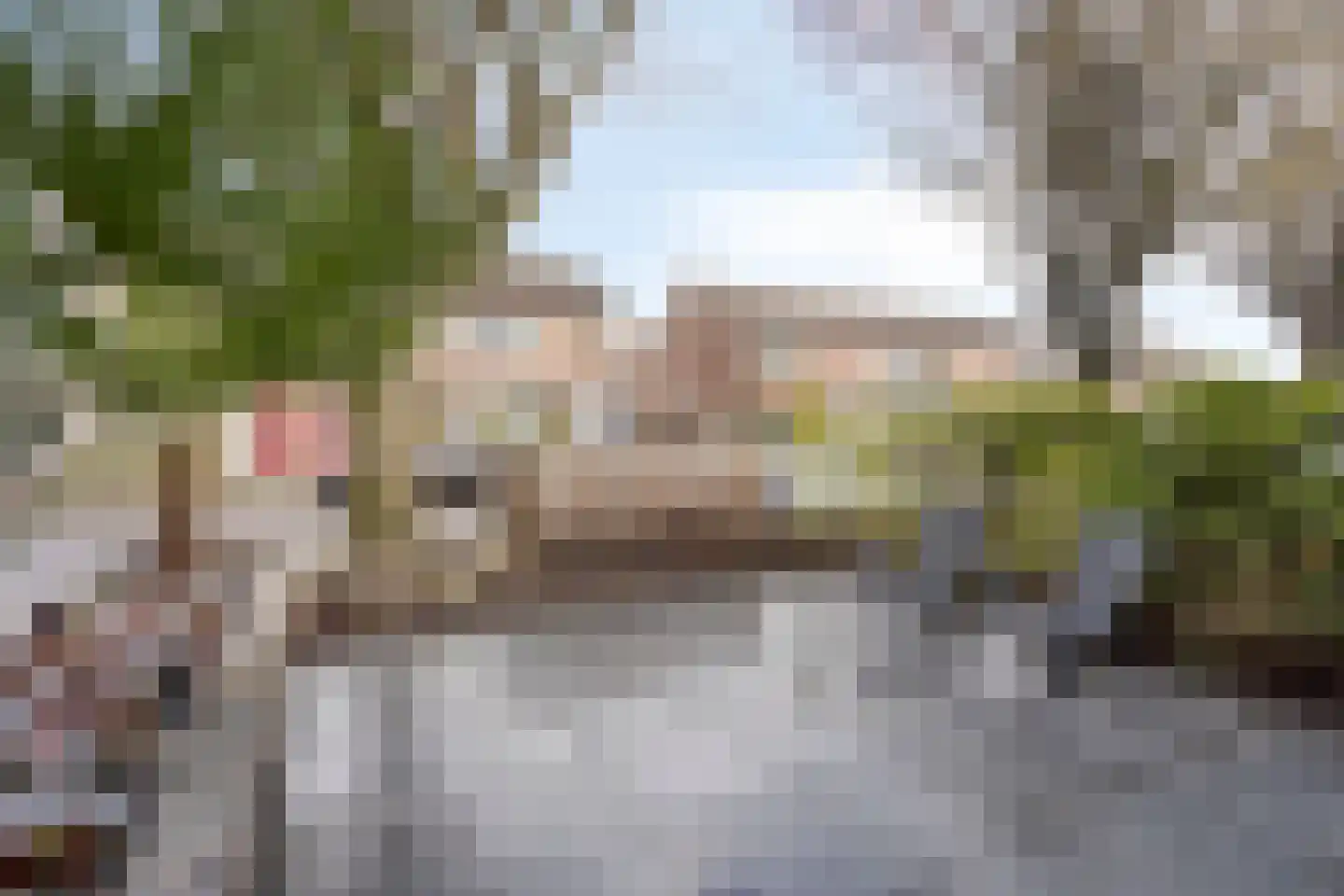 van Suchtelensingel 45 Diepenveen thumbnail 50
