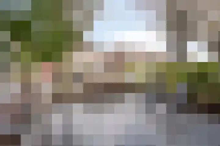 van Suchtelensingel 45 Diepenveen thumbnail 50