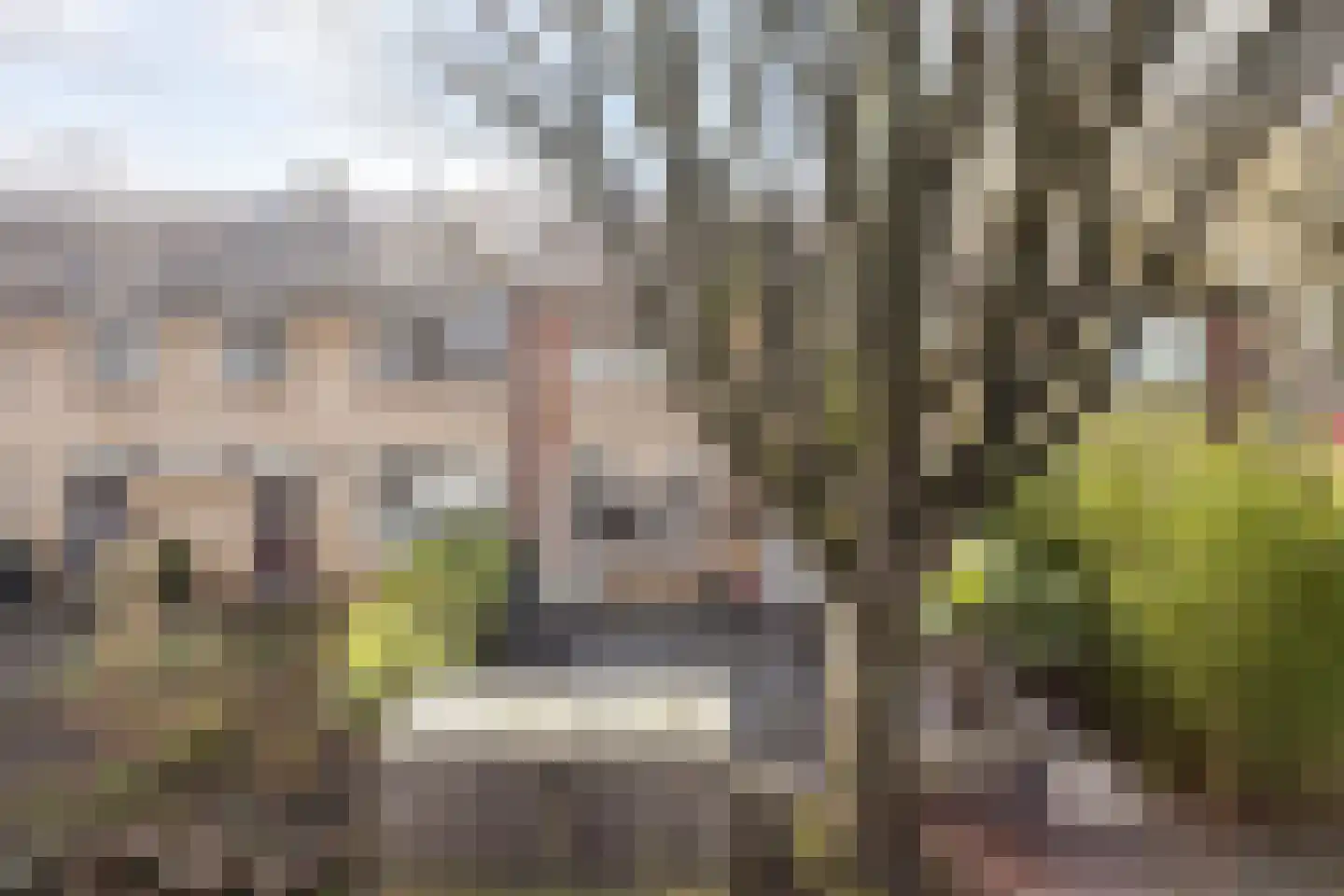 van Suchtelensingel 45 Diepenveen thumbnail 51