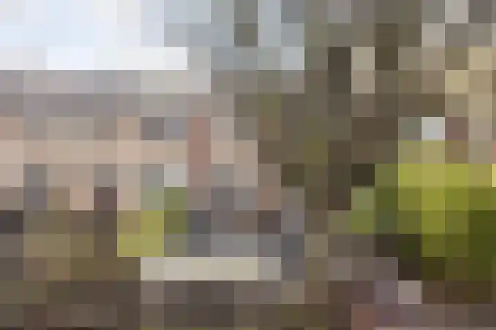 van Suchtelensingel 45 Diepenveen thumbnail 51