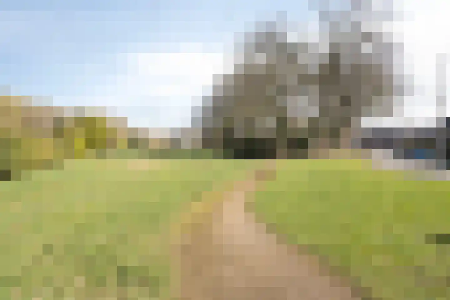 van Suchtelensingel 45 Diepenveen thumbnail 52