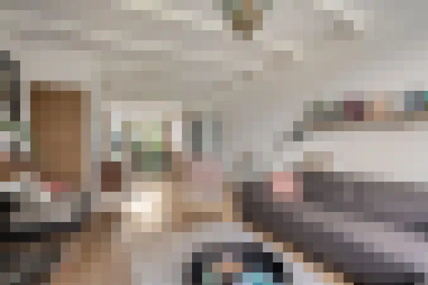 van Suchtelenstraat 6 Zutphen thumbnail 11