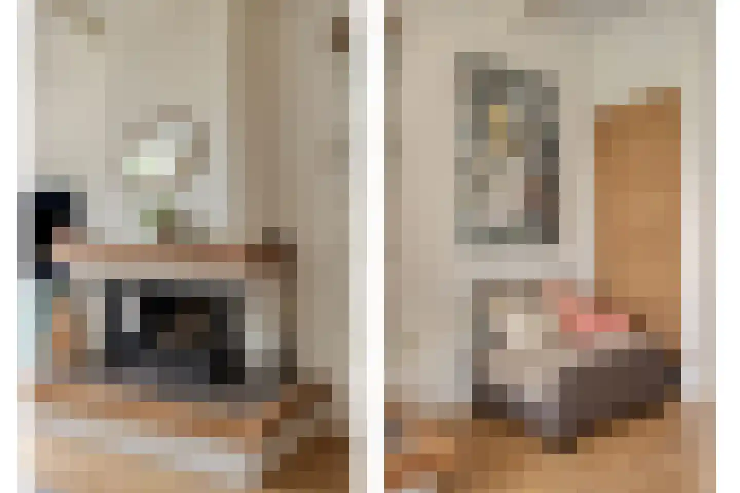 van Suchtelenstraat 6 Zutphen thumbnail 12