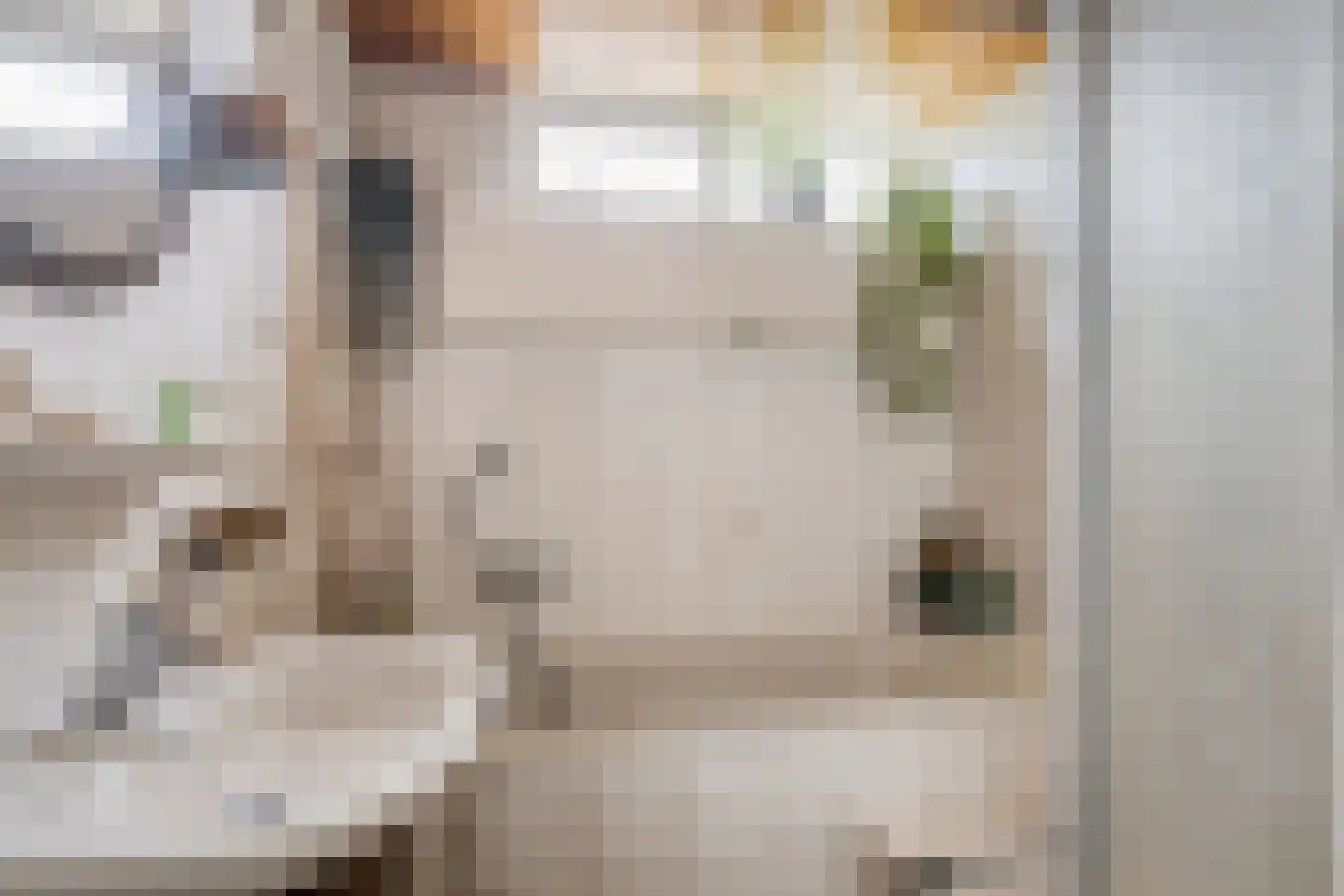 van Suchtelenstraat 6 Zutphen thumbnail 25