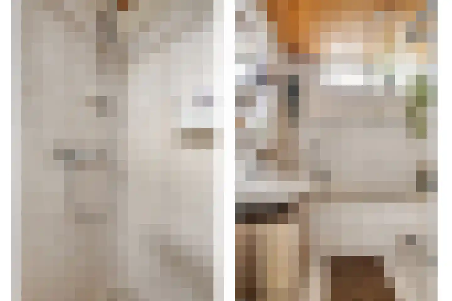 van Suchtelenstraat 6 Zutphen thumbnail 26