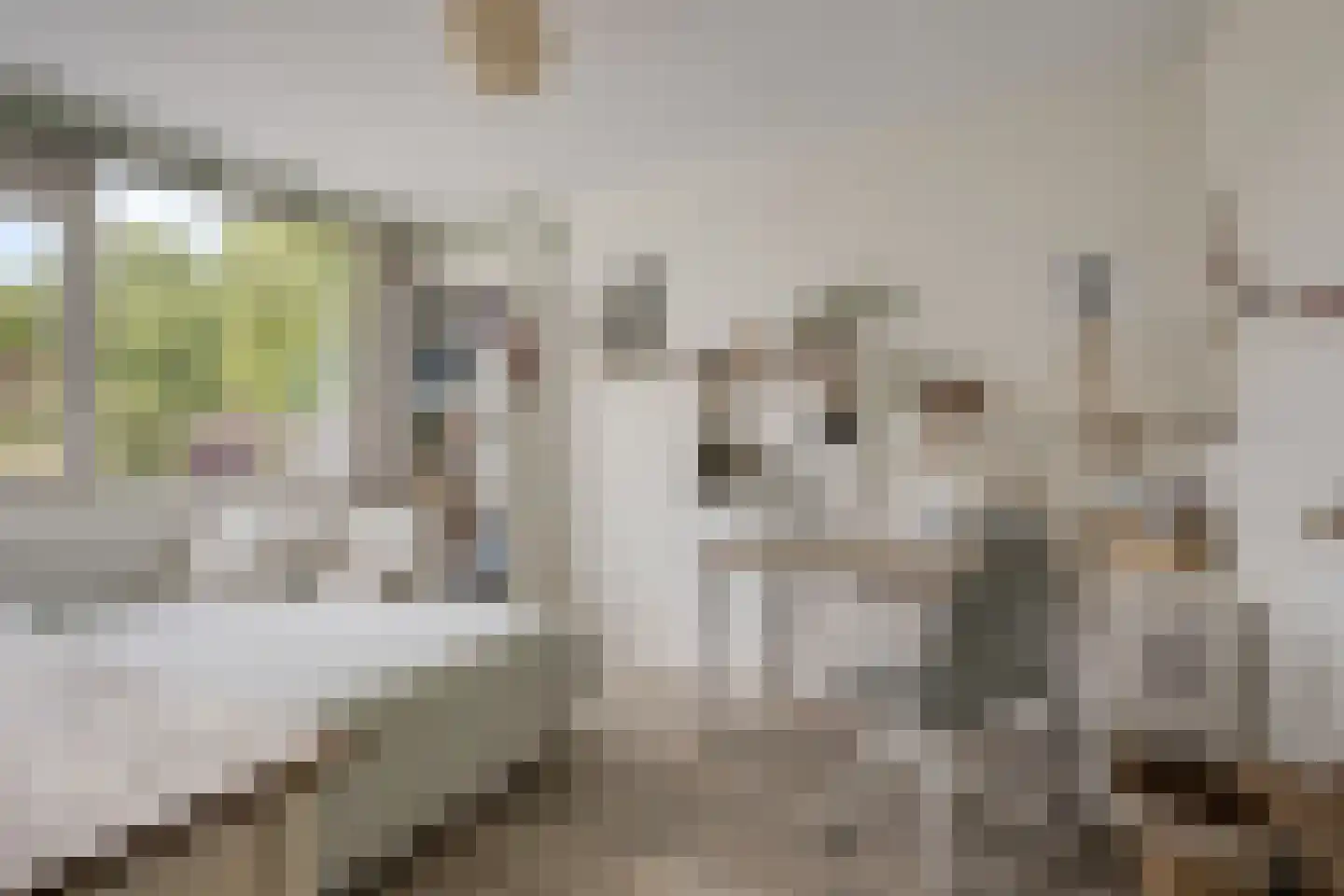van Suchtelenstraat 6 Zutphen thumbnail 27